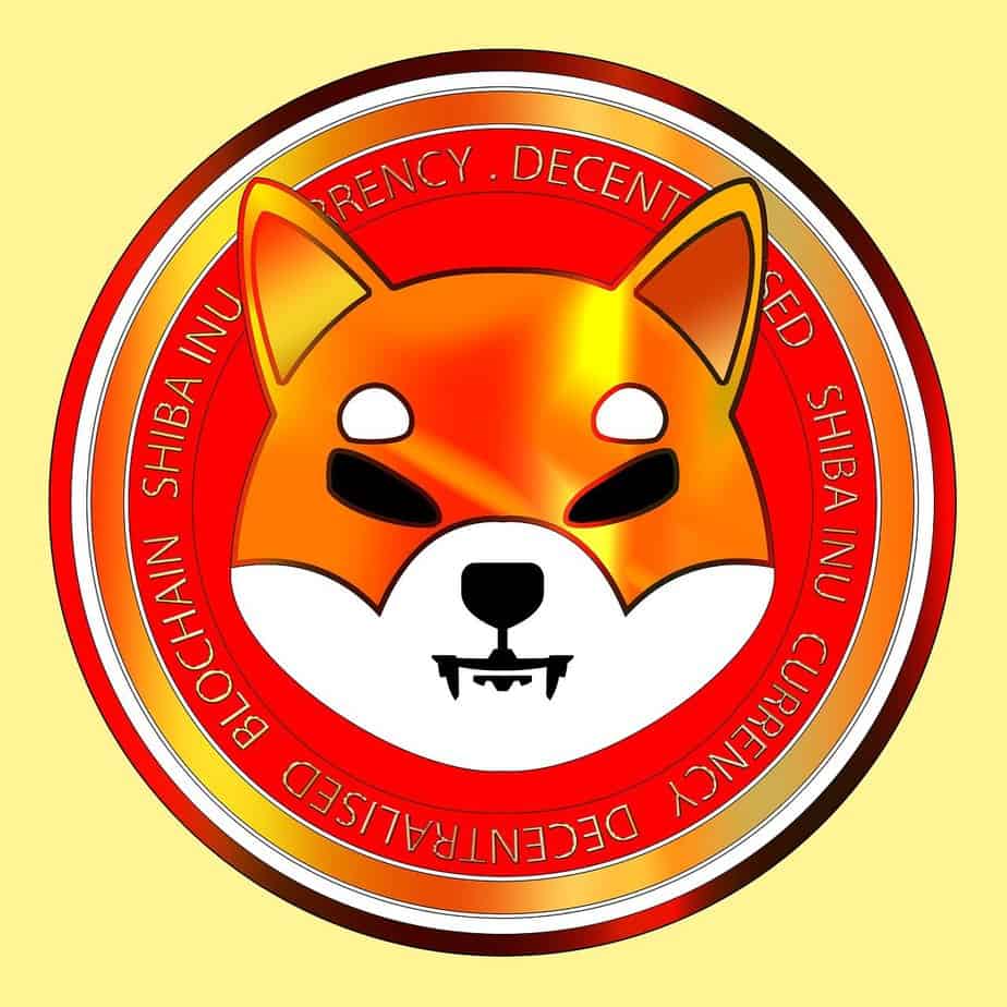 Shiba Inu de nieuwe Bitcoin?