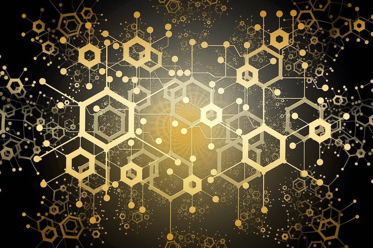 Algorand blockchain