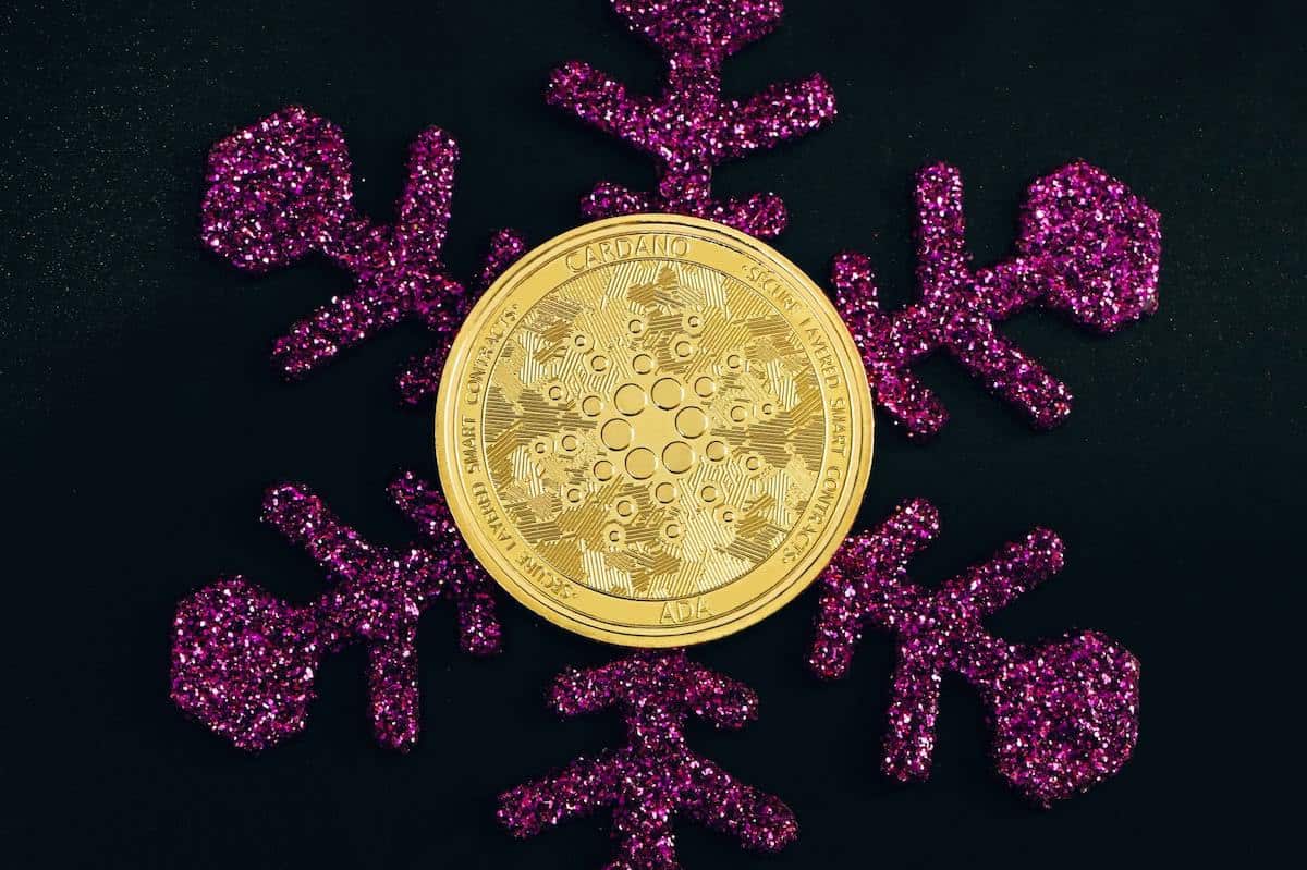 Met hoeveel procent is het aantal Cardano wallets gegroeid sinds vorig jaar Kerst?