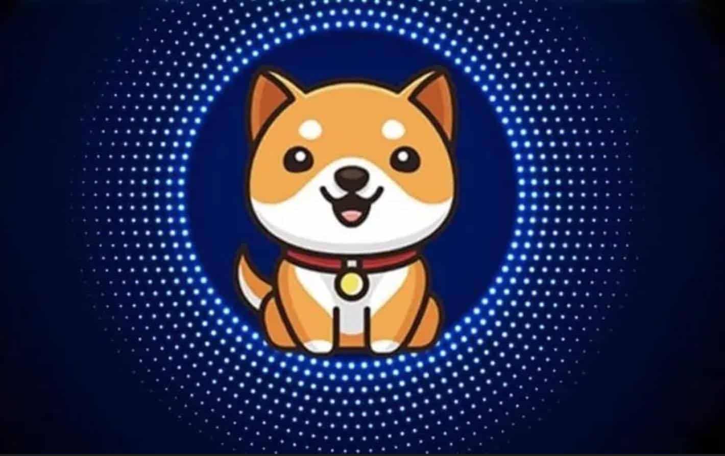 Baby Doge Coin verwachting